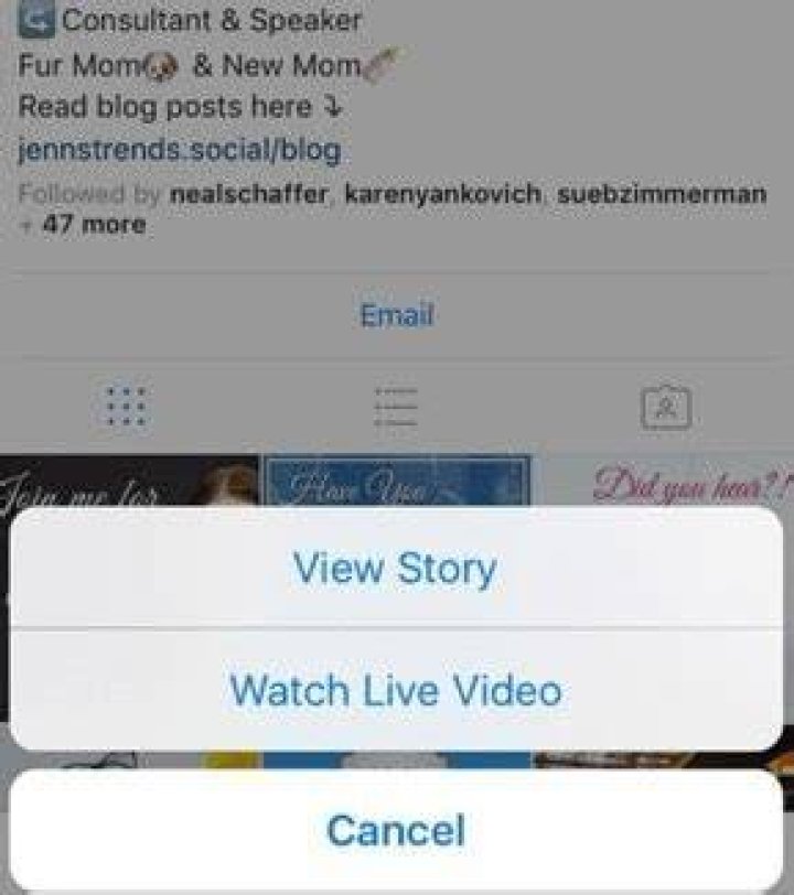 How can I download a live story from Instagram?