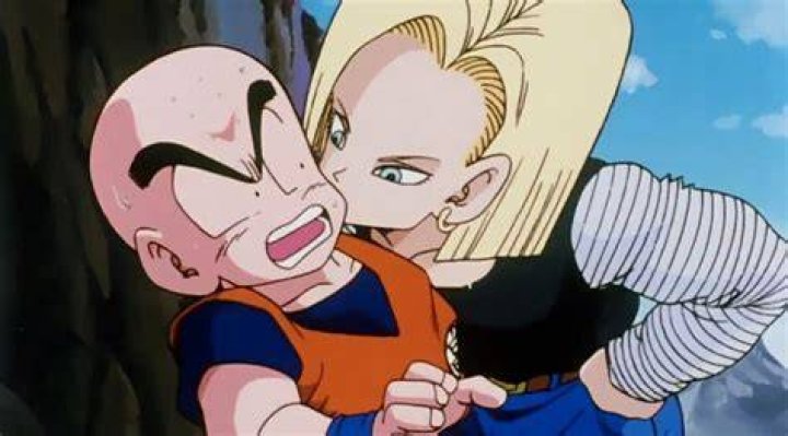 How did krillin get 18?