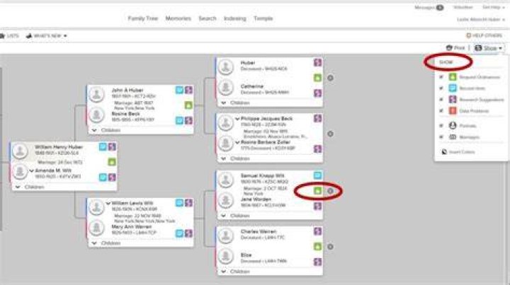 How do I search names on FamilySearch?