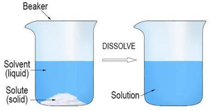 How do you dissolve dispase?