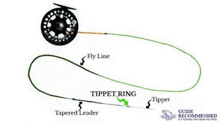 How do you use a fly fishing tippet ring?