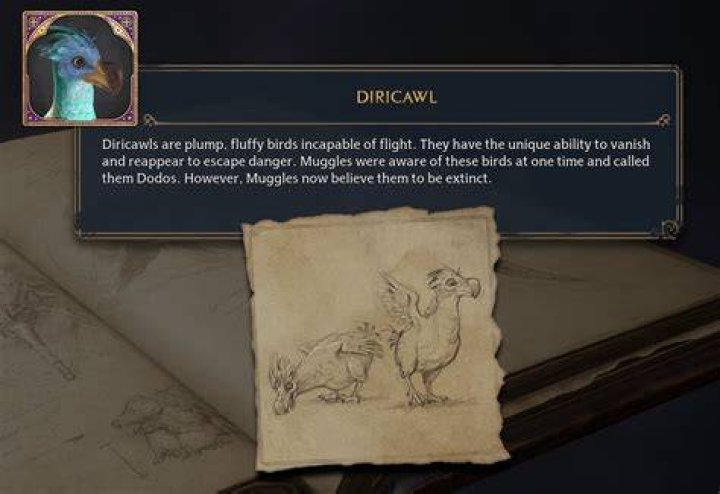 What is a Diricawl?