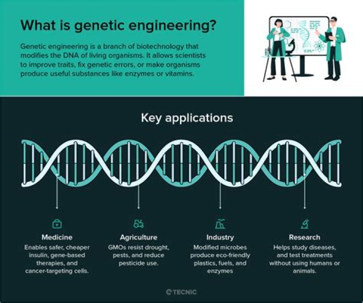 What is another term for genetic engineering?