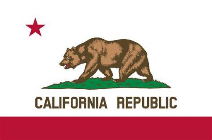 Where was the California flag first raised?