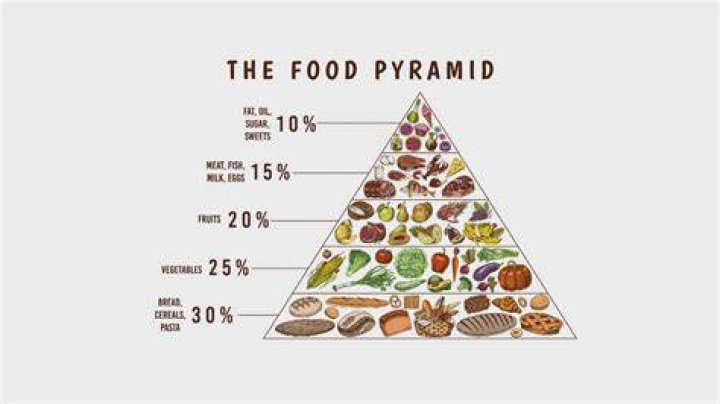 Why do I like food?