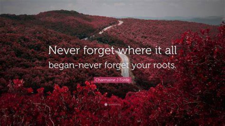 Why should we never forget our roots?